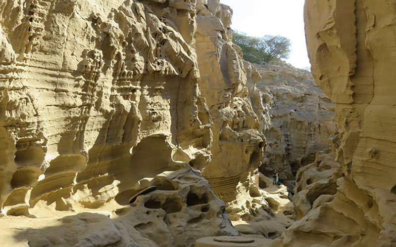 Qeshm-Chahkooh Canyon