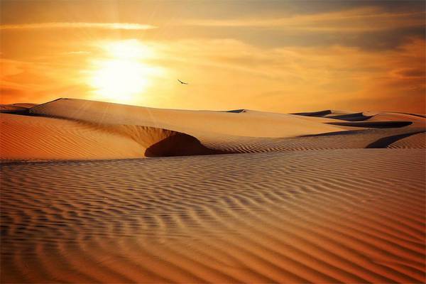 Iran - Lut desert