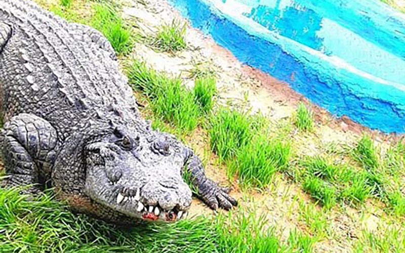 qeshm-tourist-attractions-crocodile-park-پارک کروکودیل‌ها یا نوپک شگفت‌انگیز قشم