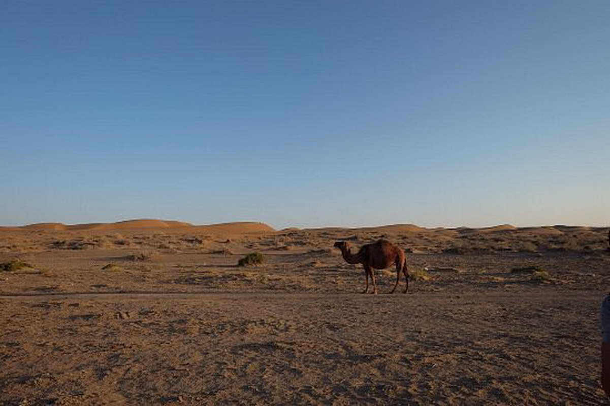 Maranjab Desert 