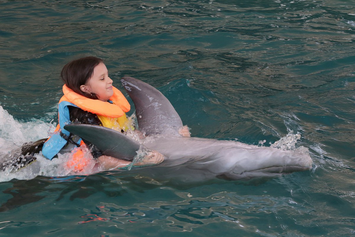 Kish Attractions Dolphin Park  Photo by Shadi 86 